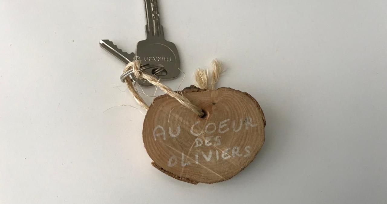 Chambre D Hotes Au Coeur Des Oliviers مارسيليا المظهر الخارجي الصورة