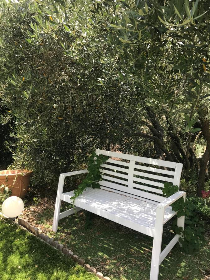 Chambre D Hotes Au Coeur Des Oliviers مارسيليا المظهر الخارجي الصورة