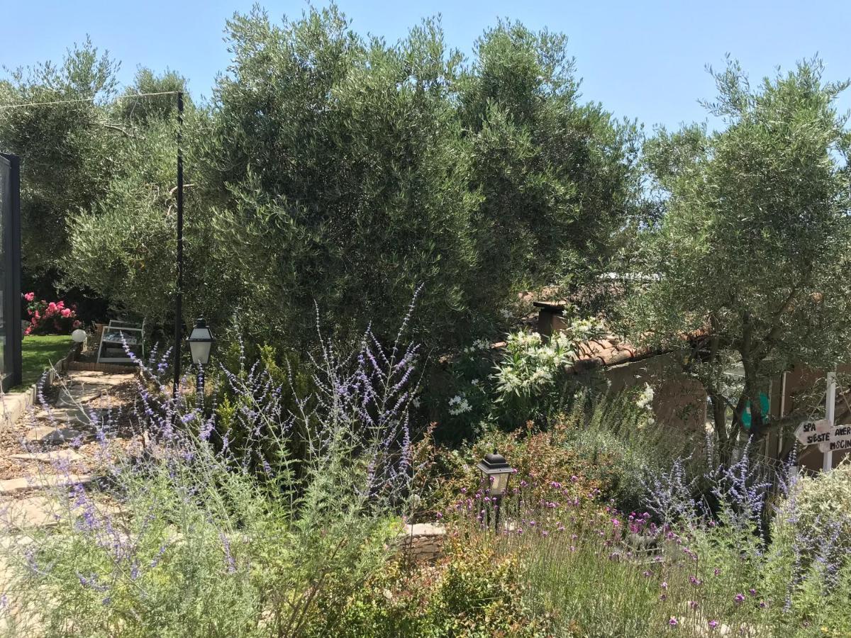 Chambre D Hotes Au Coeur Des Oliviers مارسيليا المظهر الخارجي الصورة