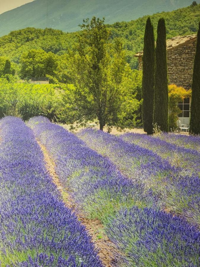 Chambre D Hotes Au Coeur Des Oliviers مارسيليا المظهر الخارجي الصورة